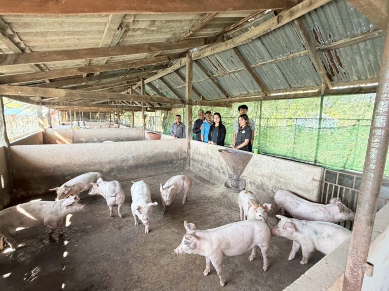 605147703_4315245532040073_2802674967359632244_n